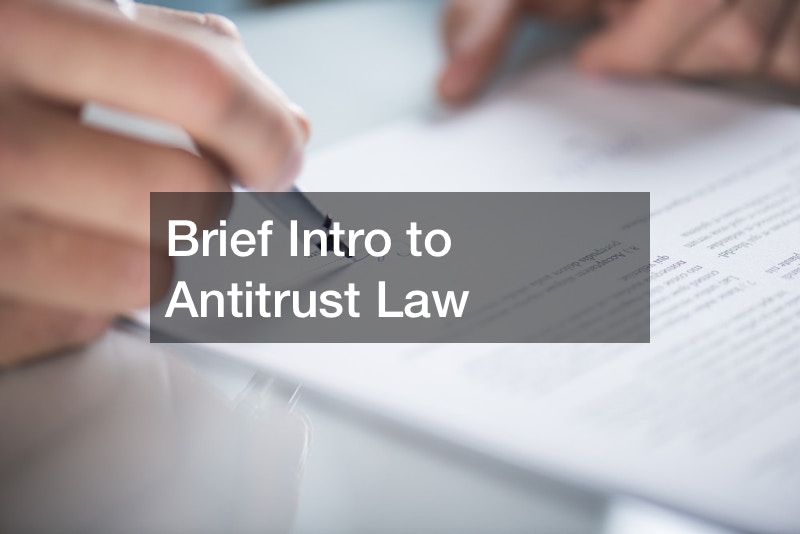 Brief Intro to Antitrust Law