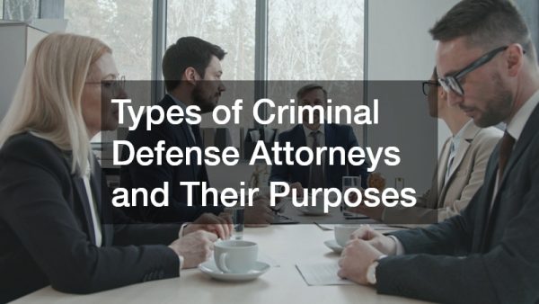 Types of Criminal Defense Attorneys and Their Purposes